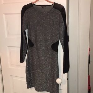 Express Shimmer Dress